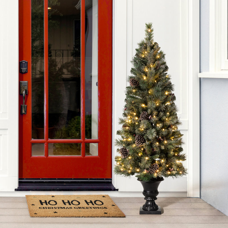 Arbre de Noël cyprès blanc givré illuminé, 5 pi