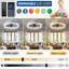 Ceiling Fan with LED Lights