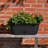 Lucca Self-Watering Plastic Indoor/Outdoor Oval Window Box Planter with Watering Basin-1059162470