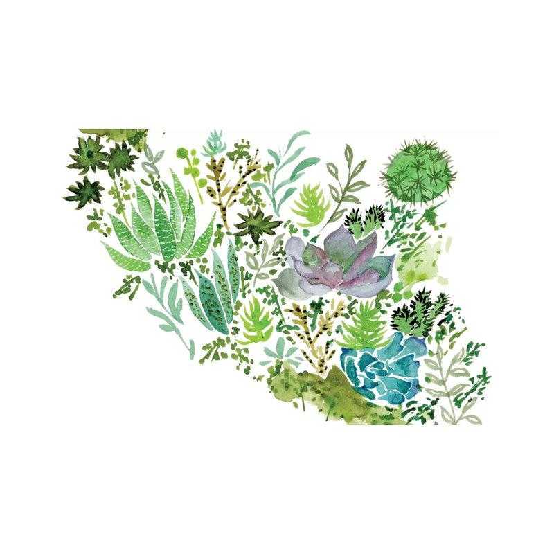 Succulent Field II by Melissa Wang - Wrapped Canvas Painting
