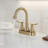 Modern Bathroom Sink Faucet with 2 Handles-120218800
