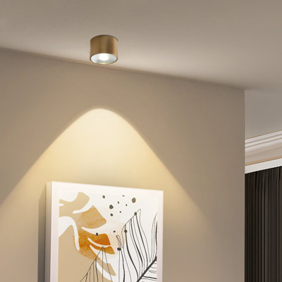 Led Ceiling Light Bright Light Dimmable Ceiling Light 4.72 Inch