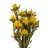 Preserved Arrangement
