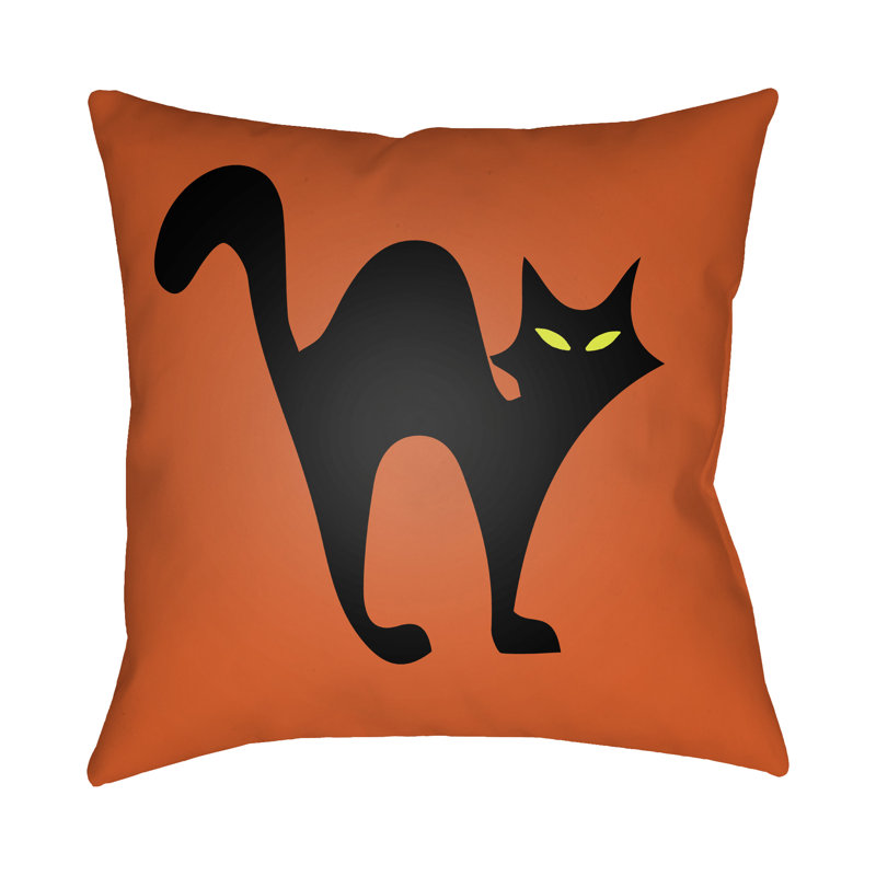  Indoor/Outdoor Throw Pillow, 20" H x 20" W x 4" D, Orange