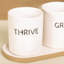 Driscoll Ceramic Pot Planter