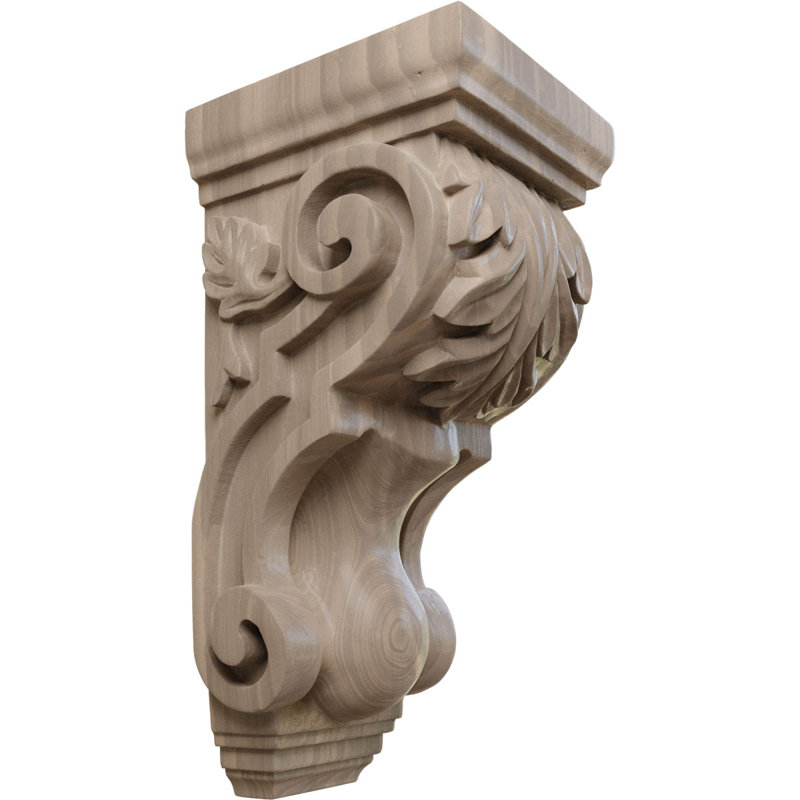 Corbeau Acanthus moyen moyen, Noyer