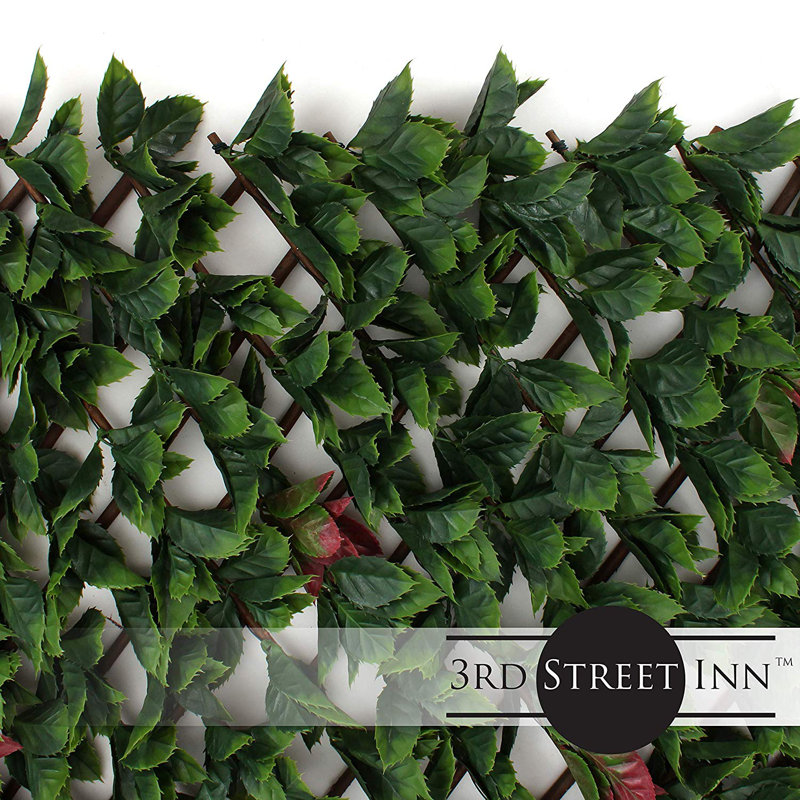 1.6 ft. H x 9 ft. W Bamboo Privacy Screen