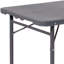 Noah 48.25" Plastic Rectangular Adjustable Fold-in-Half Table with Handle-26400193
