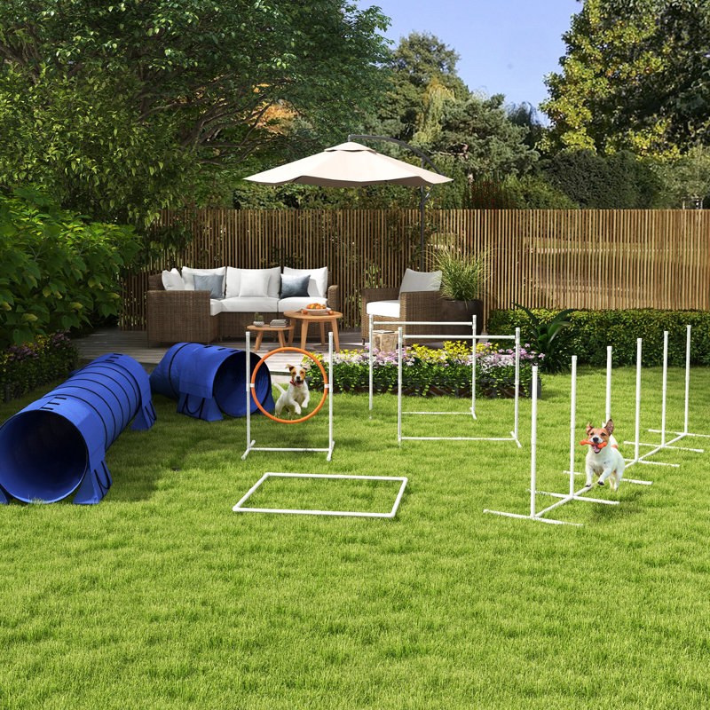 Agilité complète pour dressage de chiens en bleu: tunnels, poteaux de tissage, haies ajustables, anneau de saut, boîte de pause, trousse de sifflet bleue 7 pièces avec boîte et