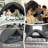 Bed Tent Canopy - Pop Up Privacy Sleeping Tent for Indoor Use, 80% Light Reduction & Breathable Design, Portable Frame with Shade Cloth Windows-111787496