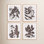 Pressed Foliage 4-Piece Print Set