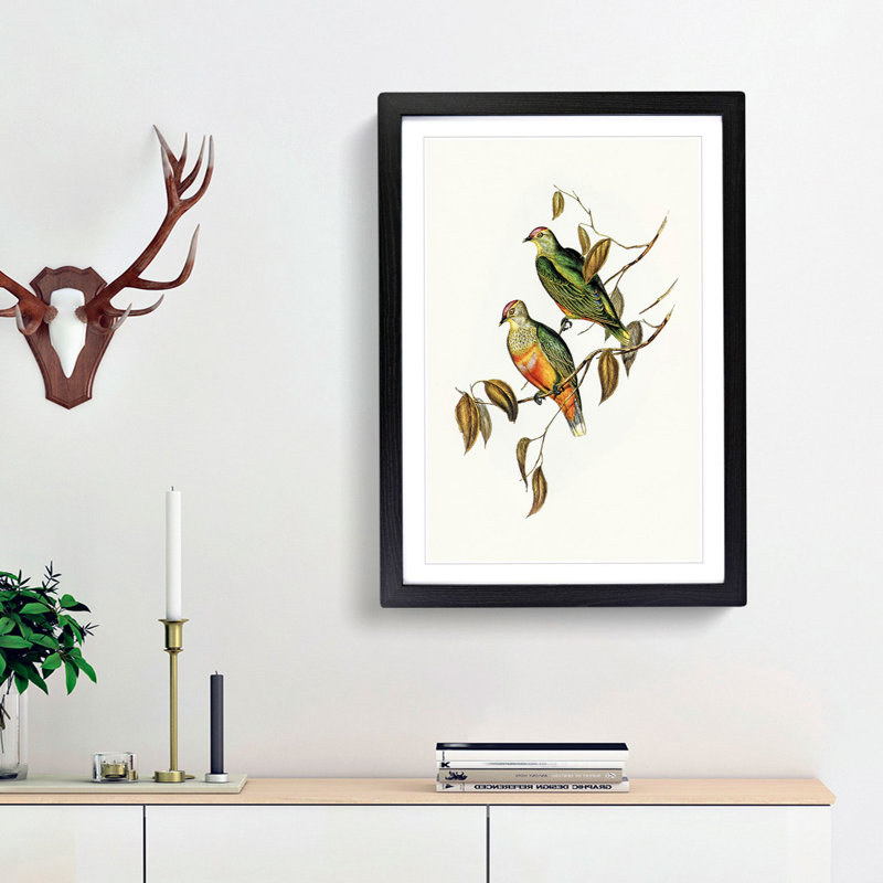 Ewing's Fruit Pigeons by Elizabeth Gould - Picture Frame Painting Print, 65cm H x 48cm W x 2cm D, Black Framed
