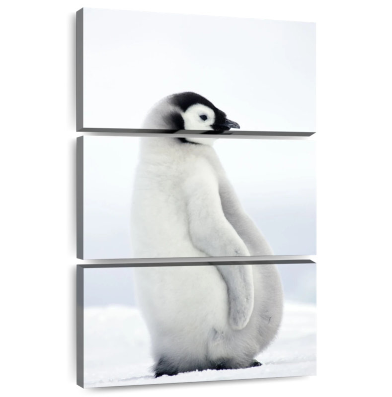 Arney Adorable Baby Penguin