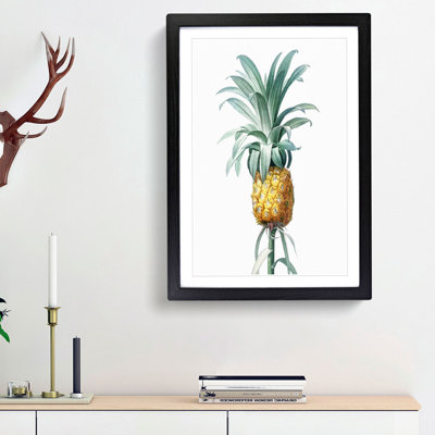 Pineapple Fruit by Pierre-Joseph Redoute - Picture Frame Painting Print