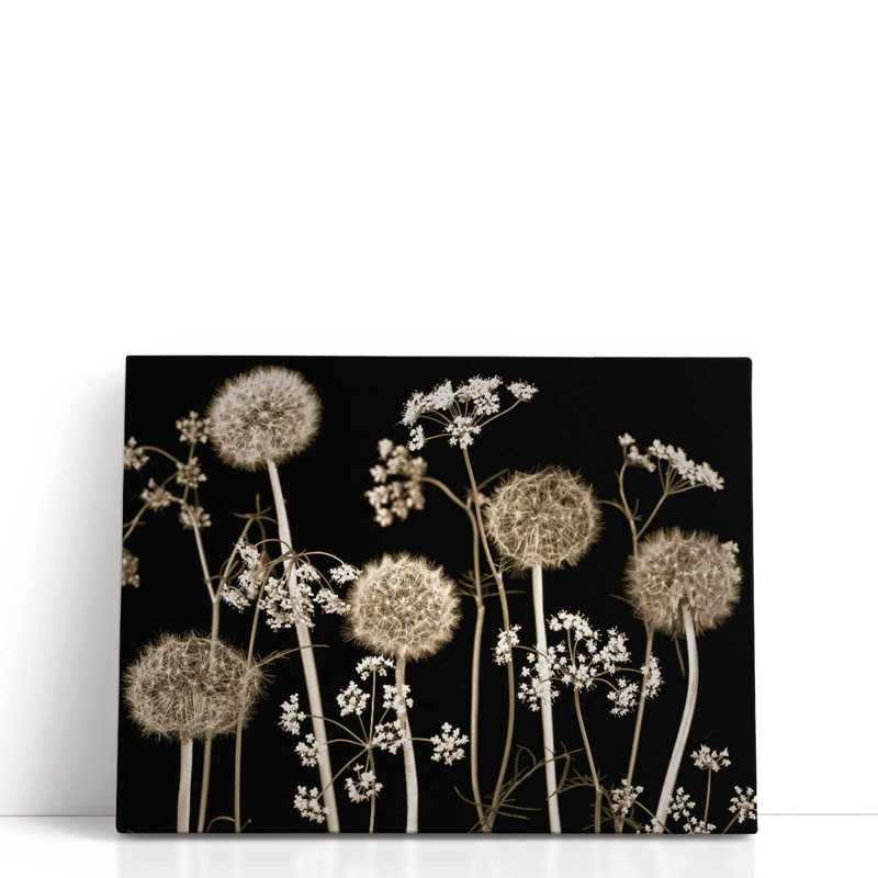 «Meadow Flowers On Black 2», reproduction d'art sur toile, H 18 po x l 24 po