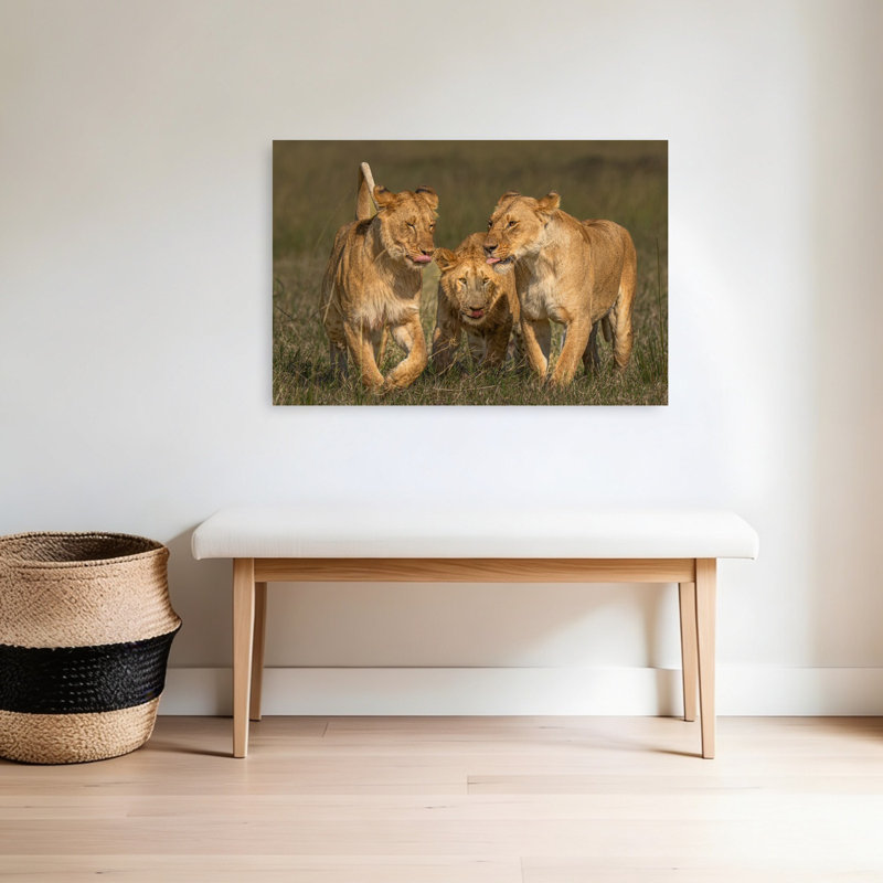 Print, 60.96cm H x 91.44cm W