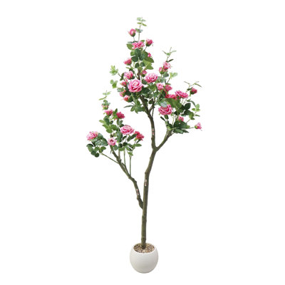183cm Plant
