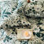 Aaris Polyester Floral Duvet Cover with Pillowcases