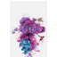 Hummingbirds Ink by Daniel Taylor - Print on Canvas-56733312-50029298