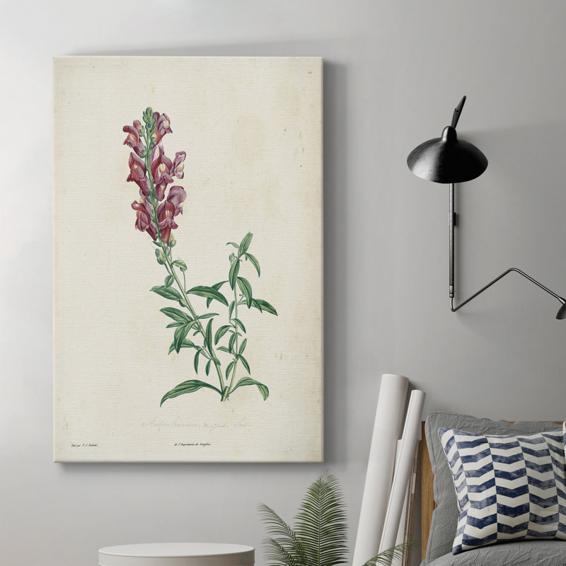 «Traditional Botanical I», impression sur toile tendue, H 60 po x l 40 po x P 1 po