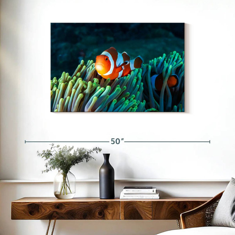 Brampt Frowning Clownfish, 24" H x 36" W