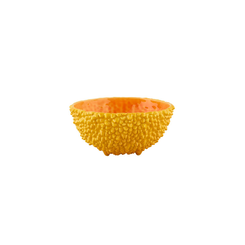 Amazōnia Earthenware Salad Bowl, Yellow