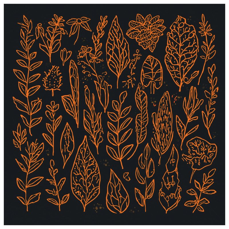 Coussins décoratifs Orange Botanical Illustration, 20 po x 20 po