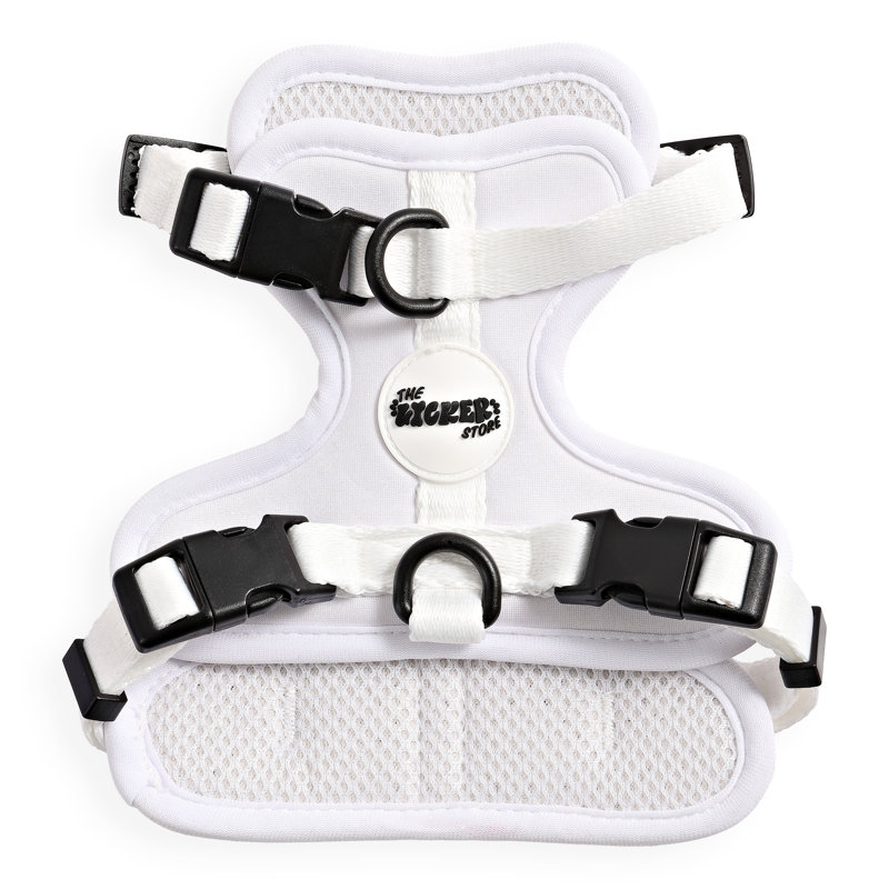 Harnais pour animal de compagnie Arlo, Blanc