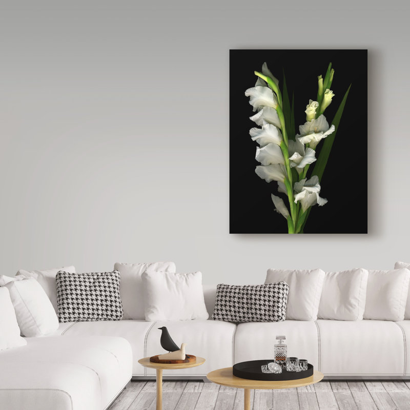 «Gladiola 2» par Dosta, impression sur toile tendue, H 19 po x l 14 po x P 2 po