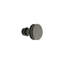 Carriage Bronze Round Knob-56414369