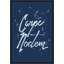 Carpe Noctem Framed Textual Art Canvas