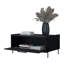 Table basse avec porte rabattable