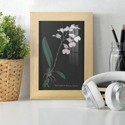 Orchidée sur ardoise VI - impression d'un seul cadre photo