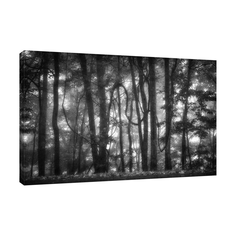 "Into The Woods 2 BW", toile tendue par Dianne Poinski, H 20 po x l 30 po x P 1,5 po