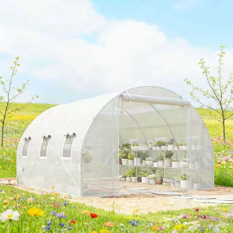 Serre tunnel blanc avec tablettes à deux niveaux pour le jardin, Blanc