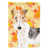 Fox-terrier blanc / noir sélectionné