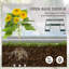 Lit de jardin surélevé en acier 8 pi x 8 pi Kidwell-2141679969