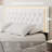 Athanasius Modern LED Platform Bed, PU Upholstered Bed with Storage Drawers, RGB Lighting & Music Sync, Adjustable Headboard, No Box Spring Needed, Easy Assembly-1348519638-1356800841