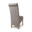 Canica 49cm H Polyester Upholstered Side Chair-1380661773