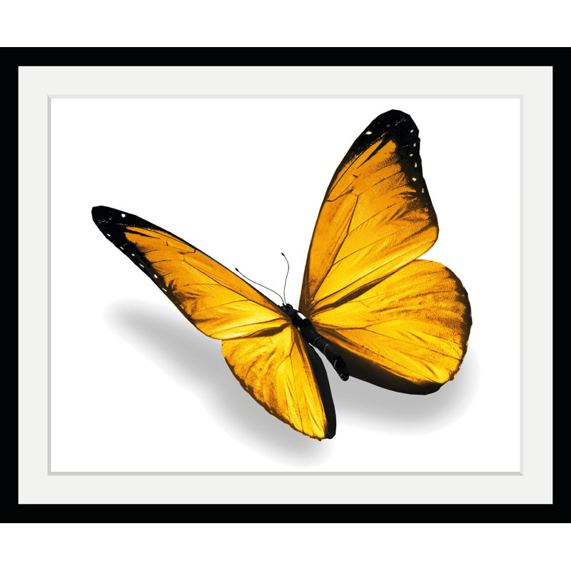 Butterfly - Single Picture Frame Print