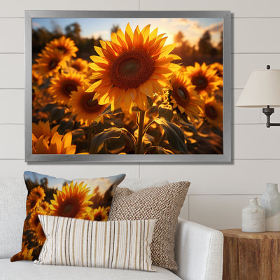 Tournesols orange et tournesols éclairés II