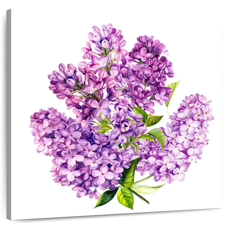 Lilac Cluster, 10" H x 10" W