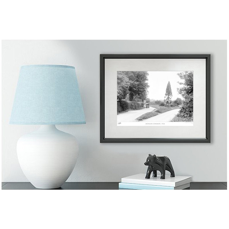 Abinger Common, 1924 by Francis Frith - Single Picture Frame Print, 45cm H x 60cm W x 2.3cm D