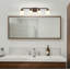 Rimini Iron/Glass Modern Cottage LED Vanity Light-1012456834-967928287
