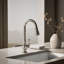 Artifacts® Pull Down Bar Faucet with Accessories-14674042