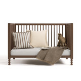 Rio 5-in-1 Convertible Crib with Toddler Guardrail