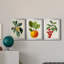 "Antique Foliage And Fruit VI", ensemble de 3 impressions sur toile encadrées-579390114-579390125