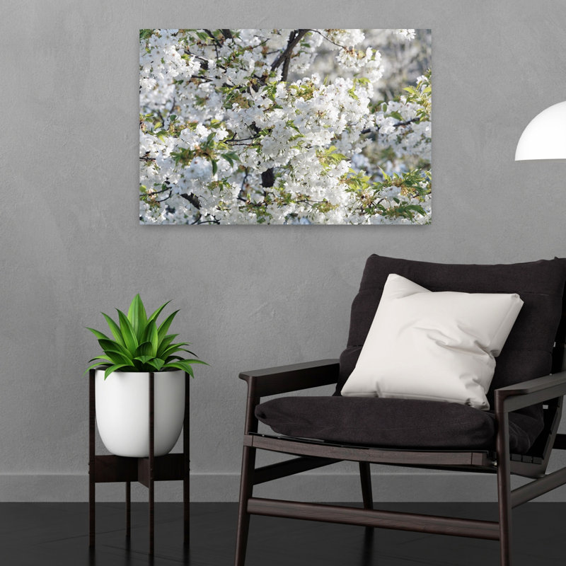 Cherry Tree blossoms in springtime Prague Czech Republic 1 Piece Wrapped Canvas Wall Art, 40.64 cm H x 60.96 cm W