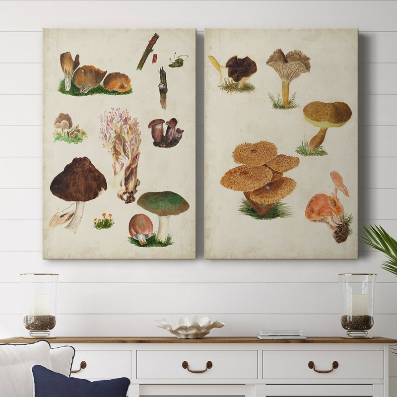 Toile tendue avec châssis Mushroom Species IX-Premium - Prêt à être accroché, H 60 po x l 80 po