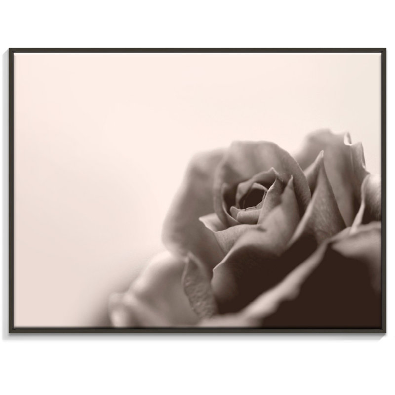 Print on Canvas, 41cm H x 51cm W, Wrapped Canvas